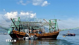 Viêt Nam’s fight against IUU fishing coupled with sustainable fisheries development: official