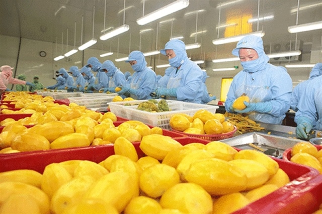 Nearly 4,000 codes of Việt Nam'sagricultural products approved to export to China