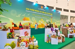 Going digital key to expanding market reach