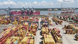 HCM City's Tân Phước rises as regional logistics hub