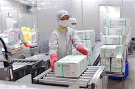 Joint statement on US-Việt Nam trade framework helps build trust for bilateral trade: expert