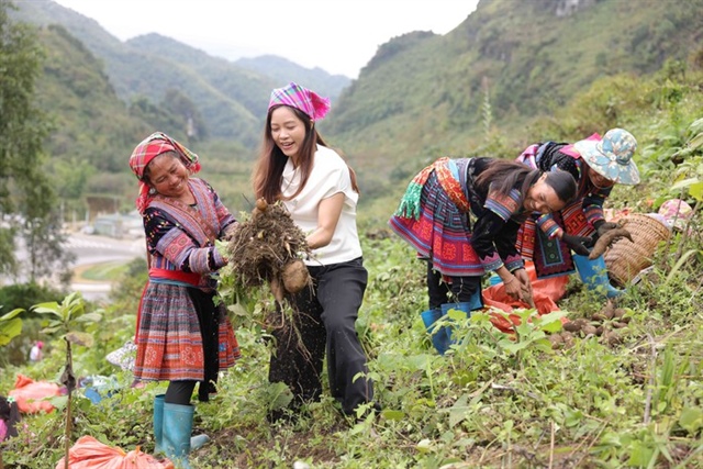 Khoai sâm đất: Đặc sản Tây Bắc nâng cao giá trị kinh tế nhờ livestream - Ảnh 3.