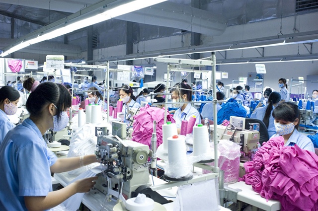 May Việt Tiến lập đỉnh lãi 7 năm nhờ mảng tài chính và lãi liên kết tăng tốc