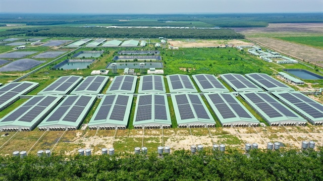 BAF rơi 66% lãi ròng vì giá heo giảm và chi phí mở rộng, 9 tháng vẫn tăng lãi 70%