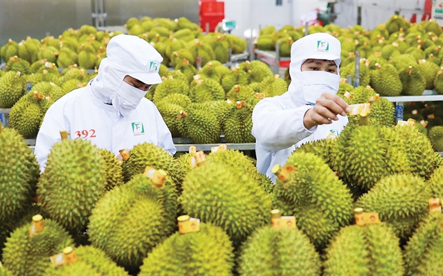 Vietnam’s durian exports hit $1 billion milestone
