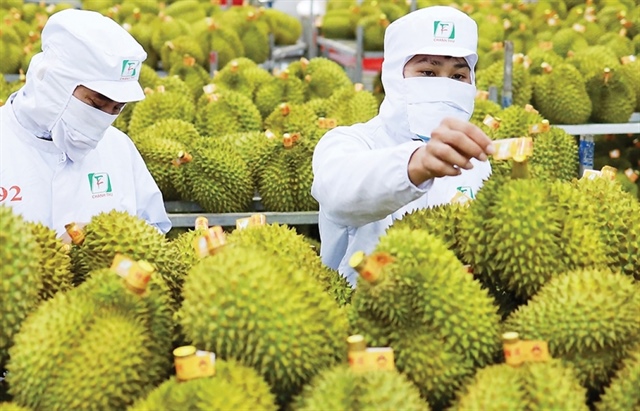 Vietnam’s durian exports hit $1 billion milestone