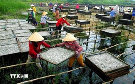 Gov’t aims to have 30 per cent women-owned enterprises by 2030