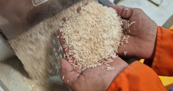 Gạo tẻ trắng và cơ hội xuất khẩu vào thị trường Singapore - Ảnh 1.