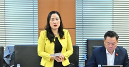 Hợp đồng bảo hiểm dài mấy chục trang, ngay cả người làm luật cũng thấy khó hiểu