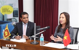 VN introduces business potential, opportunities to Sri Lankan enterprises