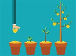 Hôm nay 04/11/2025 khai giảng khóa học online "Chứng khoán cơ bản"