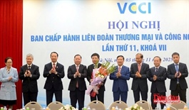 Ho Sy Hung elected chairman of Vietnam Chamber of Commerce and Industry