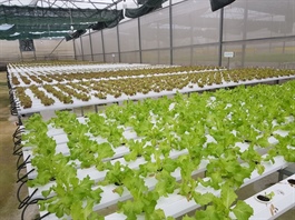 Ministry will improve institutions, infrastructure for agricultural development