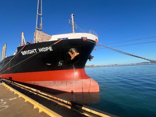 Vinaship nhận tàu mới hơn 9 triệu USD giữa lúc kinh doanh sa sút