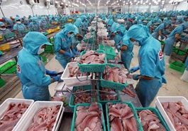 Agro-forestry-fishery exports poised for record revenue of $70b this year