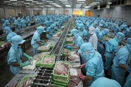 Favourable tariff outlook offers boost for Vietnamese exporters