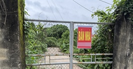 Vỡ mộng 'ôm đất chờ lên phố': Nhà đầu tư mắc kẹt, bán cắt lỗ thoát hàng