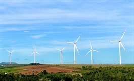 Dự án gọi đầu tư 01-07/11/2025: 6 Nhà máy điện gió hơn 1,100MW, vốn gần 63.3 ngàn tỷ