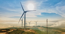 Bị cắt giảm công suất phát điện, doanh nghiệp điện gió có nguy cơ phá sản
