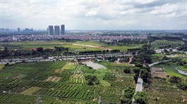 TPHCM thí điểm xây nhà ở thương mại trên đất nông nghiệp