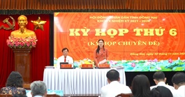 HĐND tỉnh Đồng Nai thông qua phương án làm 6 cây cầu kết nối với TP.HCM