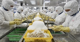 Thị trường vào 'mùa vàng', doanh nghiệp bội thu tỷ USD