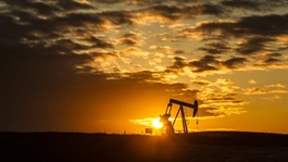 Dầu tăng nhờ dấu hiệu Chính phủ Mỹ sắp mở cửa trở lại