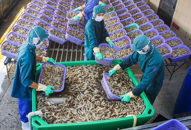 Một doanh nghiệp thủy sản ở Cà Mau thừa nhận lỗ quý 3 nếu tính đủ lãi vay