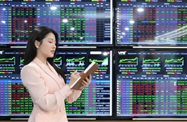 12/11: Đọc gì trước giờ giao dịch chứng khoán?