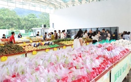 Việt Nam’s fruit, vegetable exports exceed $7 billion in 10 months