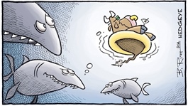 Theo dấu dòng tiền cá mập 12/11: Khối ngoại cầm chừng trong ngày thị trường vọt tăng