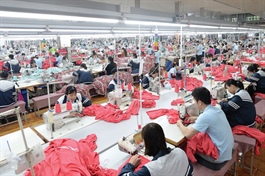 Kỳ vọng vượt kế hoạch lợi nhuận, MSH sắp tạm ứng hơn 450 tỷ đồng cổ tức