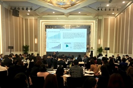 Credit rating, sustainable finance key for VN banking sector