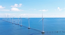 REE granted marine survey rights for 10GW Nam Bo OSW project