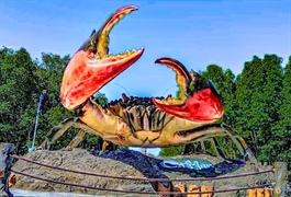 Cua Cà Mau – Từ đặc sản địa phương đến thương hiệu quốc gia