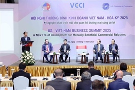 Fair and mutually benefit key to Việt Nam-US economic ties