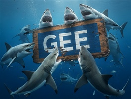 Theo dấu dòng tiền cá mập 14/11: Tự doanh mua ròng mạnh mẽ, GEE tỏa sáng