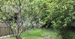 Bán nhà bỏ phố về quê, chủ nhà ‘đánh rơi’ 4 tỷ đồng chỉ sau 2 năm