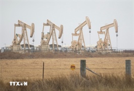 Lợi nhuận ngành lọc dầu toàn cầu đang ở mức cao kỷ lục