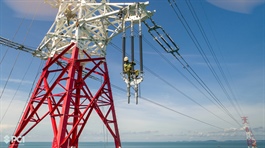 Ái nữ nhà Chủ tịch PC1 dự chi hơn 90 tỷ để gom mạnh 4 triệu cp