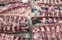 Mỹ dỡ bỏ thuế quan cho 1,25 tỷ USD hàng nông sản của New Zealand