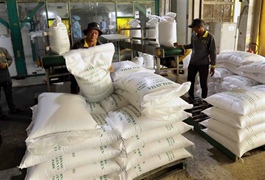 Philippines extends rice import ban, raising risks for Việt Nam' exports