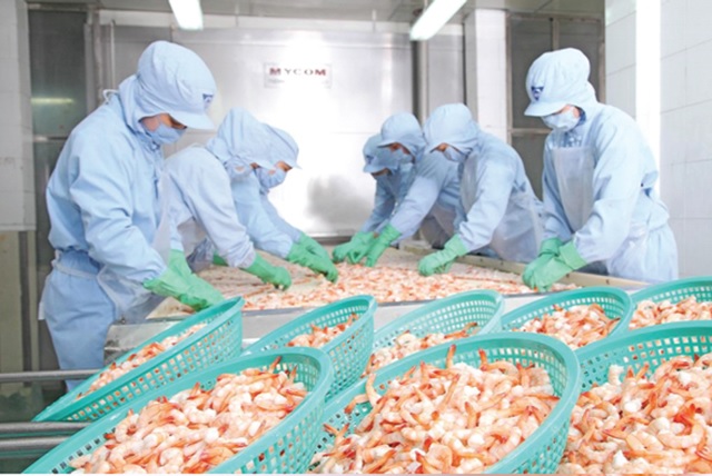 Camimex muốn thoái hết vốn góp tại chủ đầu tư dự án nuôi tôm ngàn tỷ