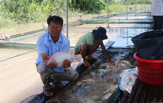 Đồng Nai eyes leap forward in high-tech aquaculture