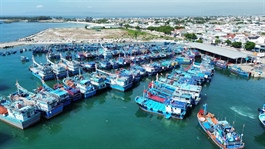 Việt Nam approves plan to implement amended WTO Agreement on Fisheries Subsidies