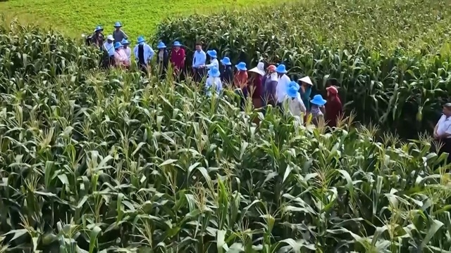 Regional links expected to promote Việt Nam’s agricultural exports