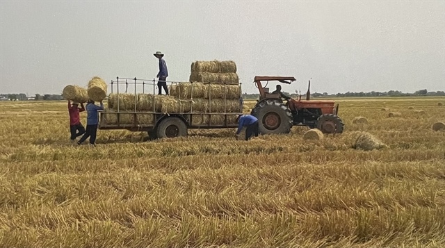 Workshop discusses investment opportunities in rice straw value chain