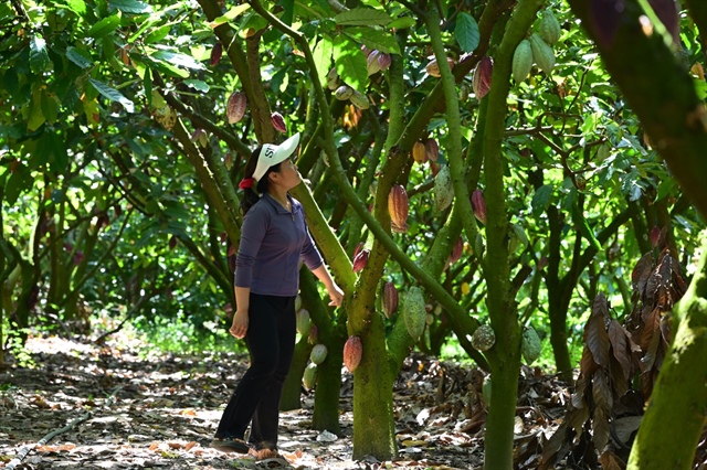 Circular solutions help Vietnamese farmers turn by-products into resources
