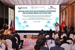 Czech Senate President highlights deep-rooted ties, urges stronger business cooperation with Việt Nam