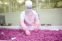 HOSE nhận hồ sơ niêm yết của Antesco